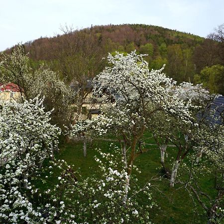Gorski Sad - U Bazyla Piechowice  Bagian luar foto